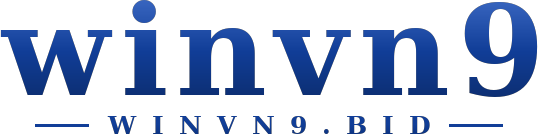 winvn9 logo